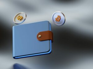 The Most Secure Wallets
